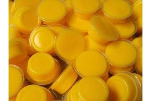 Beetle & Insect Jelly